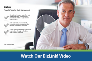 watch Bizlink Video